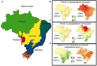 Evaluating carbon and water fluxes and stocks in Brazil under changing climate and refined regional scenarios for changes in land use